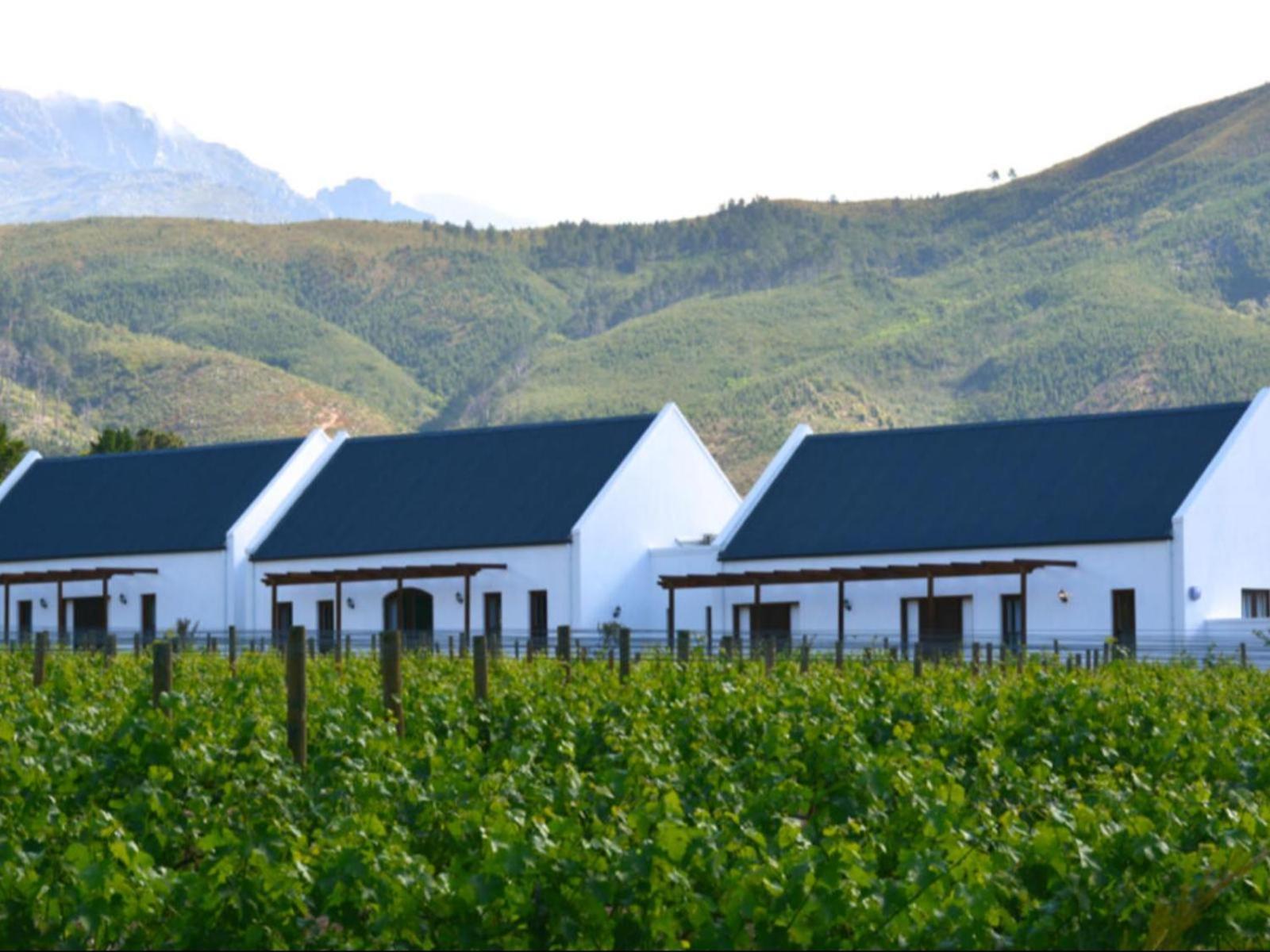 Chambray Estate - The Terraces In The Vines Bed & Breakfast Franschhoek Eksteriør bilde