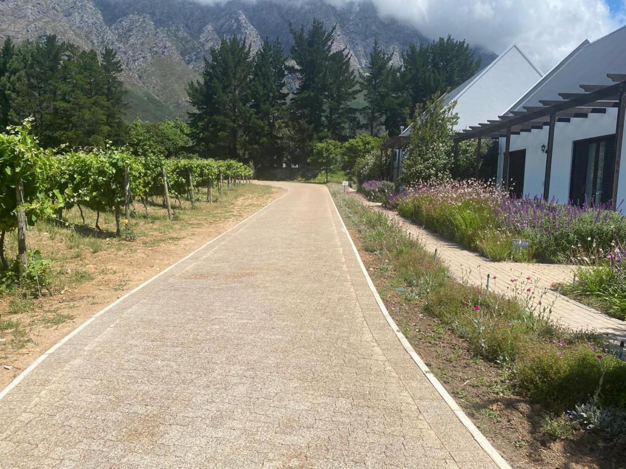 Chambray Estate - The Terraces In The Vines Bed & Breakfast Franschhoek Eksteriør bilde